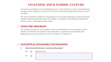 Analysing school culture